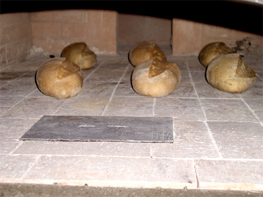 breads baking in the oven